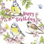 Carola Pabst Postcard | Happy Birthday (Vögel)