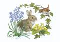Postcard Molly Brett | Rabbit and wren with bluebells and primroses