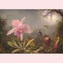 Postcard - Cattleya orchid and three hummingbirds