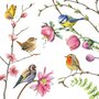 Nina Chen Postcard | Flowers and birds