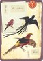 Postcard | Vogels, Philipp Franz von Siebold, Naturalis Biodiversity Center