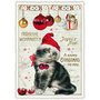 PK 864 Tausendschön Postcard Christmas - Christmas Cat