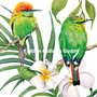 Carola Pabst Postcard | Two Birds