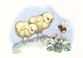 Postcard Molly Brett | Two Chicks Meet A Bee