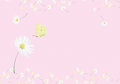 Briefumschläge Set C6 - Rosa Gänseblümchen