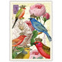PK 906 Tausendschön Postcard | SWEET MEMORIES  - BIRDS