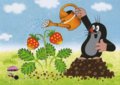 Postcard Krtek - Der kleine Maulwurf - The little mole pours strawberries