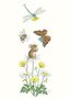 Postcard Molly Brett | Dragonfly And Butterfly Bringing Gifts To Mouse
