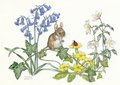 Postcard Molly Brett | Mouse On Ivy Looking At Ladybird On Primrose