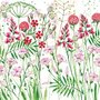 Kerstin Heß Postcard | Flower Meadow