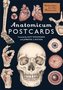 Anatomicum Postcard Box (Welcome To The Museum)