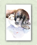 Organic Postcard - Watercolour Cat and Dog