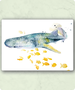 Organic Postcard - Watercolour whale shark