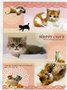 San-X Happy Cute Cat A4 Plastic File Folder