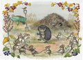 Postcard Molly Brett | The Untidy Little Hedgehog