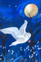 Postcard Snowy Owl - by Bianca Nikerk