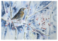 Postcard | Cold buffet (bird with icy berries)