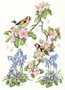Postcard Molly Brett | Goldfinches, Blossom, Bluebells And Violets