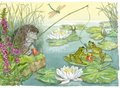 Postcard Molly Brett | A Dozy Hedgehog Falls Asleep While Fishing In A Pond