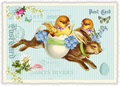 PK 992 Tausendschön Postcard | Chick on a bunny