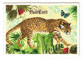 PK 983 Tausendschön Postcard | Jaguar