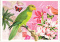 PK 984 Tausendschön Postcard | Parrot