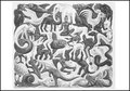 Museum Cards Postcard | M.C. Escher, Plane Filling II
