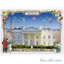 PK 1012 Tausendschön Postcard | USA - Washington D.C., White House