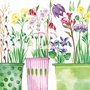 Kerstin Heß Postcard | Spring blossoms