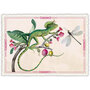 PK 997 Tausendschön Postcard | Lizard and Dragonfly