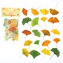 Sticker Flakes Sack | Leaves of Nature -  Ginkgo Leaves