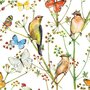 Shutterstock Postcard | Birds and butterflies