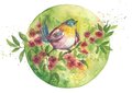 Postcard Vogel in het Groen - Romyillustrations