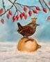 Postcard Christmas Bird - by Bianca Nikerk