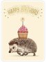 Rosi Hilyer Postcard - happy birthday - hedgehog