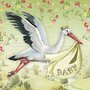 Barbara Behr - Auguri Postcard | Baby (Stork)