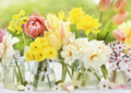 Postcard | Spring flowers in vases
