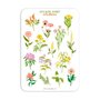 A5 Stickersheet by Muchable | Wild Flowers