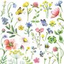Nina Chen Postcard | Summer Flowers