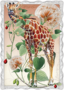 Auguri by Barbara Behr Glitter Postcard | Giraf