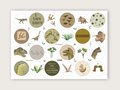Stickersheet from Studio Poppybird - Dinosaurs