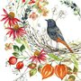 Kerstin Heß Postcard | Bird with autumn flowers