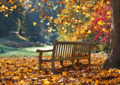 Postcard | Bench in autumn leaves