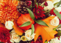 Postcard | autumn bouquet