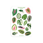 A6 Stickersheet by Muchable | Pink Leaves