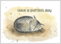 Postcard | Have a purrfect day