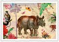 PK 1123 Tausendschön Postcard | Wildlife-Edition,  Sumatra Nashorn - Rhino 