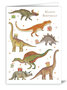 Greeting Card Quire - Happy Birthday Dinosaurs
