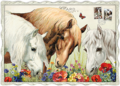 Auguri by Barbara Behr Glitter Postcard | Horses