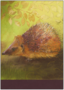 Postcard Loes Botman | Hedgehog